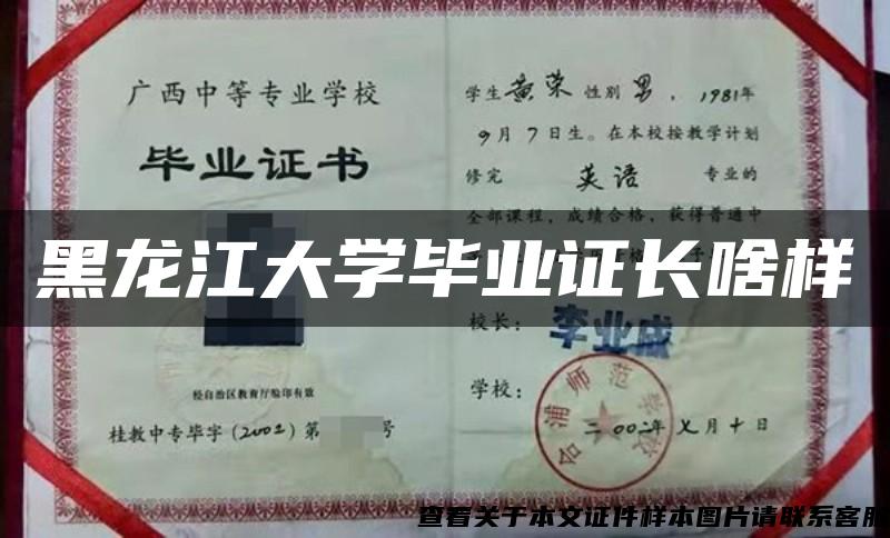 黑龙江大学毕业证长啥样