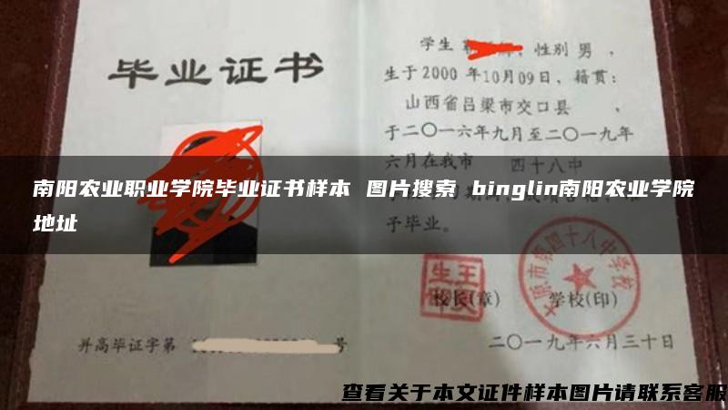 南阳农业职业学院毕业证书样本 图片搜索 binglin南阳农业学院地址