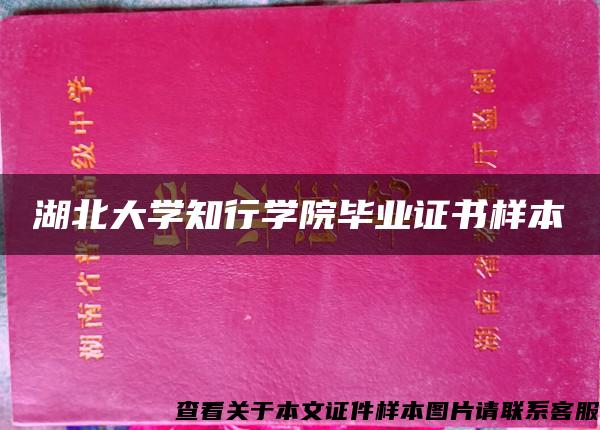 湖北大学知行学院毕业证书样本