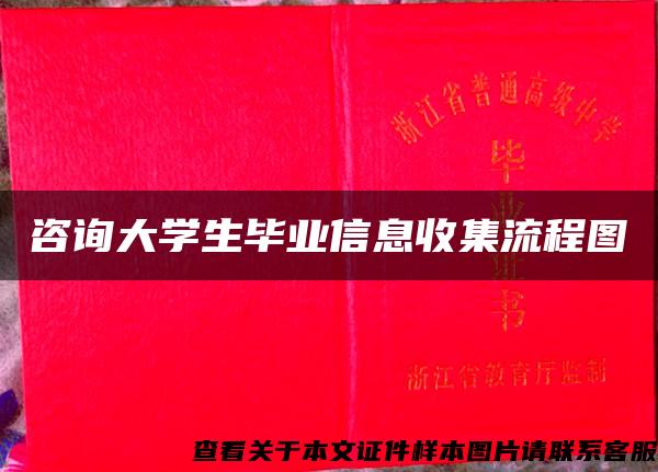 咨询大学生毕业信息收集流程图