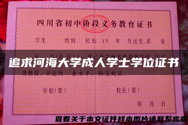 追求河海大学成人学士学位证书