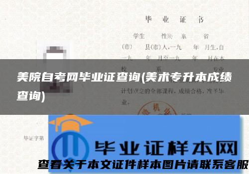 美院自考网毕业证查询(美术专升本成绩查询)