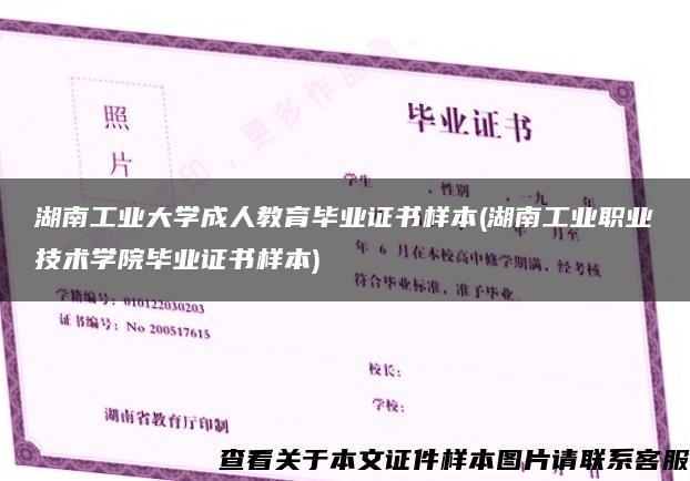 湖南工业大学成人教育毕业证书样本(湖南工业职业技术学院毕业证书样本)