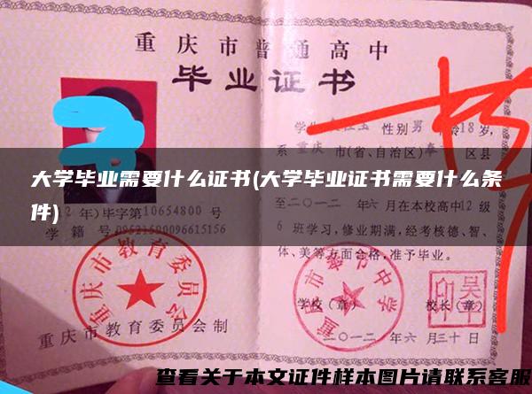 大学毕业需要什么证书(大学毕业证书需要什么条件)