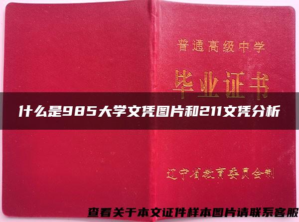 什么是985大学文凭图片和211文凭分析