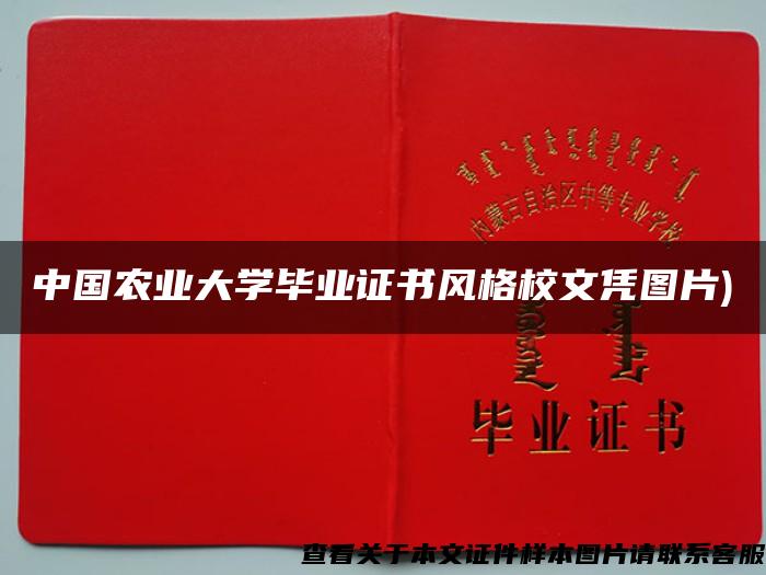 中国农业大学毕业证书风格校文凭图片)