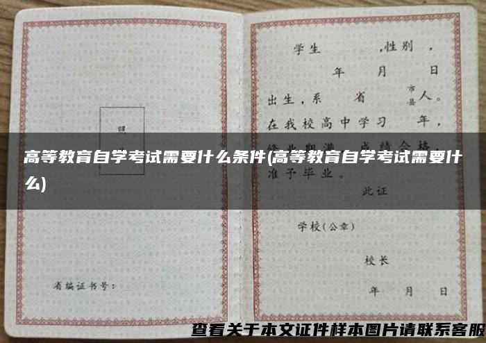 高等教育自学考试需要什么条件(高等教育自学考试需要什么)