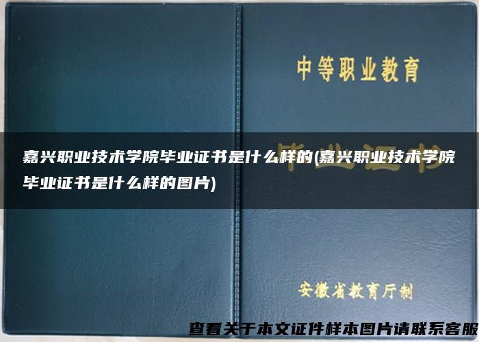 嘉兴职业技术学院毕业证书是什么样的(嘉兴职业技术学院毕业证书是什么样的图片)