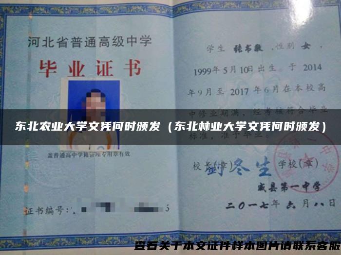 东北农业大学文凭何时颁发（东北林业大学文凭何时颁发）