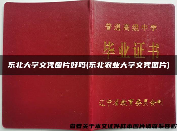 东北大学文凭图片好吗(东北农业大学文凭图片)