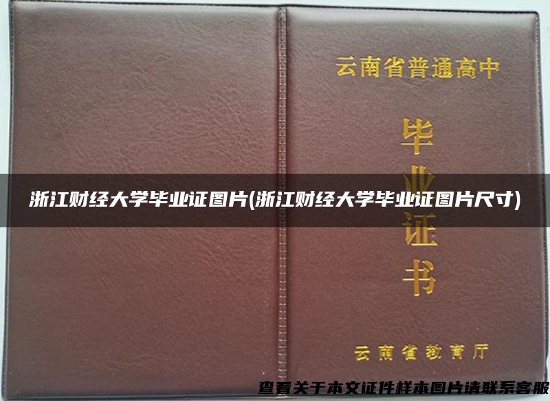 浙江财经大学毕业证图片(浙江财经大学毕业证图片尺寸)