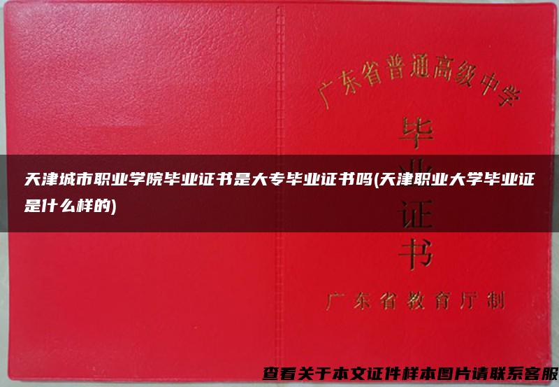 天津城市职业学院毕业证书是大专毕业证书吗(天津职业大学毕业证是什么样的)