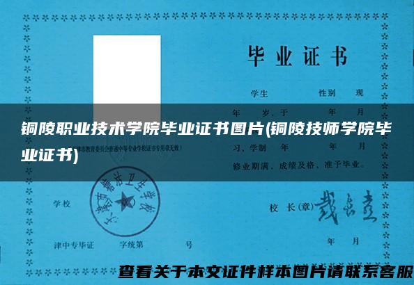 铜陵职业技术学院毕业证书图片(铜陵技师学院毕业证书)