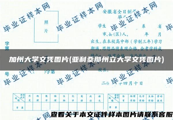 加州大学文凭图片(亚利桑那州立大学文凭图片)