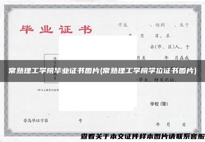 常熟理工学院毕业证书图片(常熟理工学院学位证书图片)