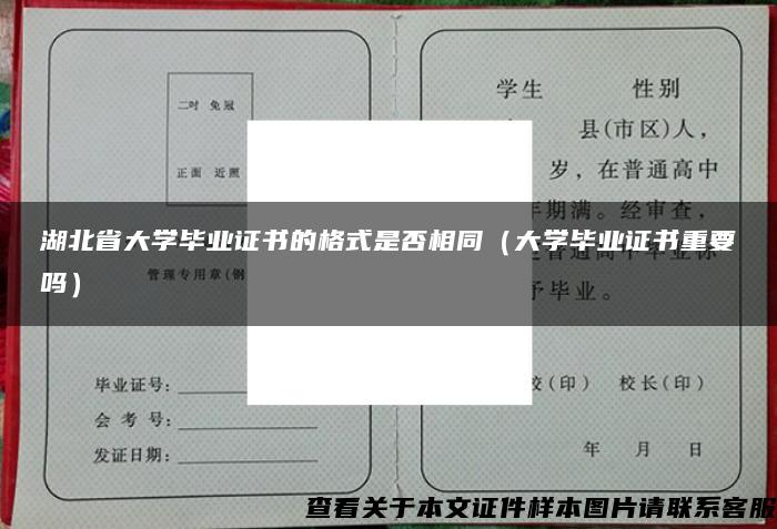 湖北省大学毕业证书的格式是否相同（大学毕业证书重要吗）