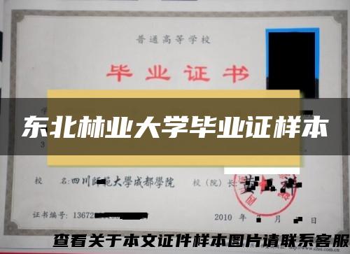 东北林业大学毕业证样本