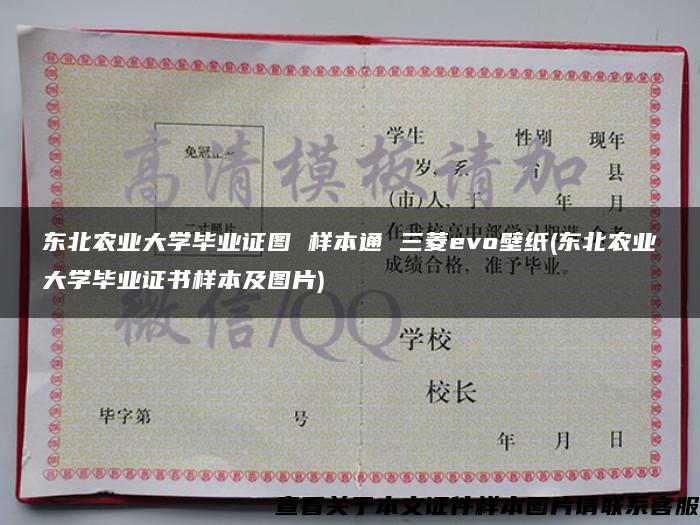 东北农业大学毕业证图 样本通 三菱evo壁纸(东北农业大学毕业证书样本及图片)