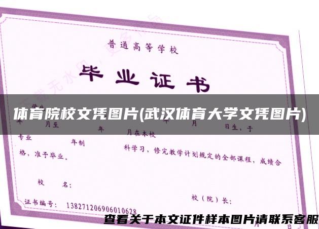 体育院校文凭图片(武汉体育大学文凭图片)