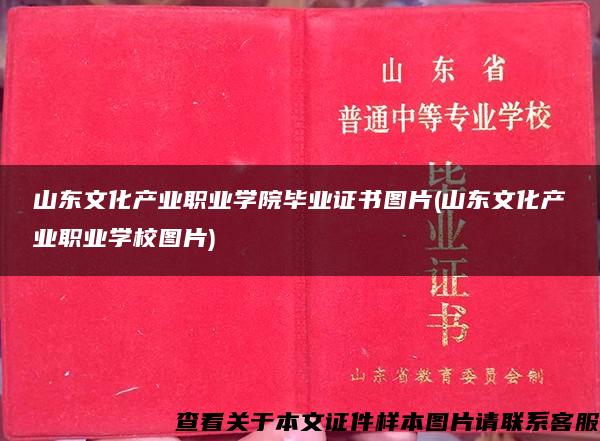 山东文化产业职业学院毕业证书图片(山东文化产业职业学校图片)