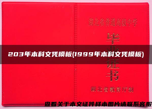 203年本科文凭模板(1999年本科文凭模板)