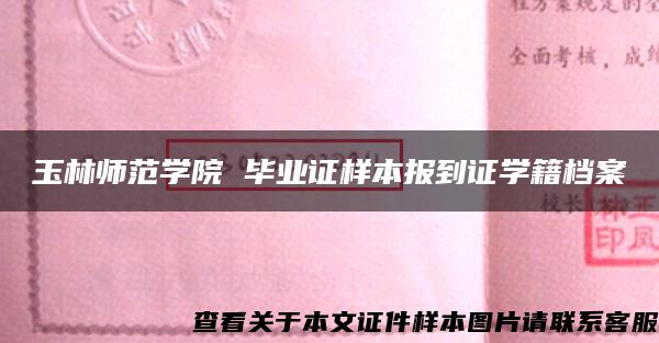 玉林师范学院 毕业证样本报到证学籍档案