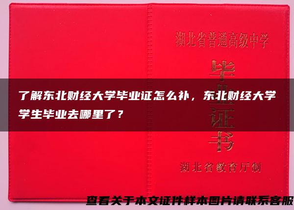 了解东北财经大学毕业证怎么补，东北财经大学学生毕业去哪里了？