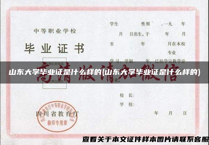 山东大学毕业证是什么样的(山东大学毕业证是什么样的)