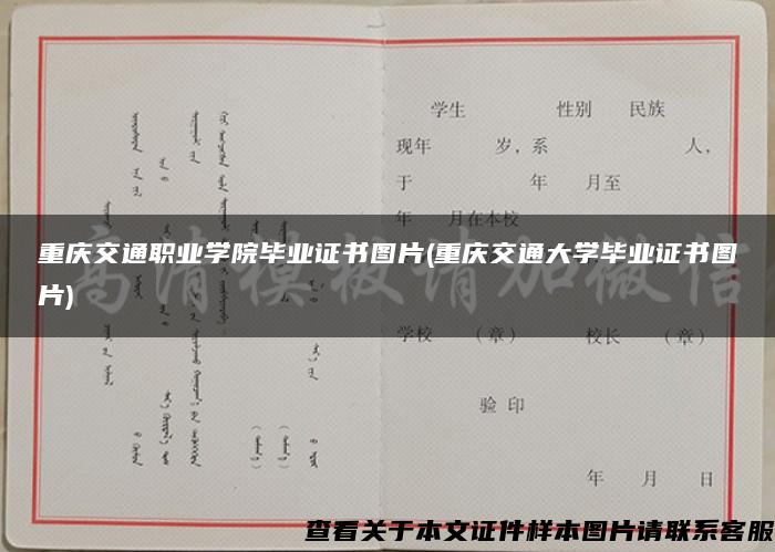 重庆交通职业学院毕业证书图片(重庆交通大学毕业证书图片)