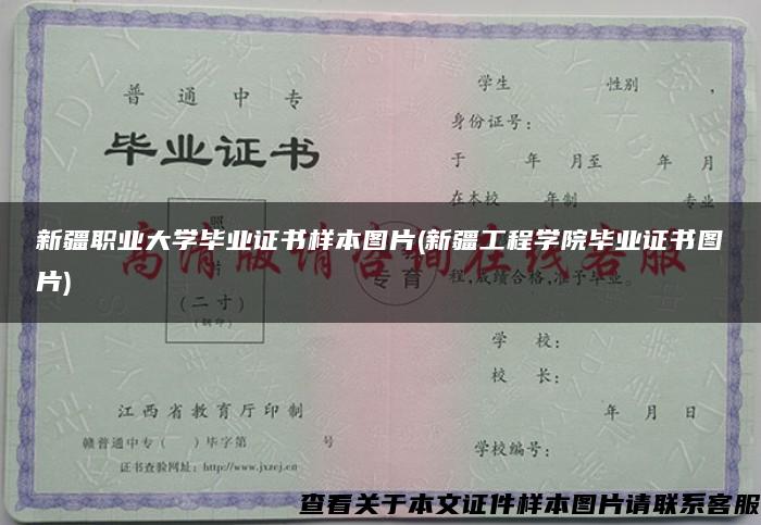 新疆职业大学毕业证书样本图片(新疆工程学院毕业证书图片)