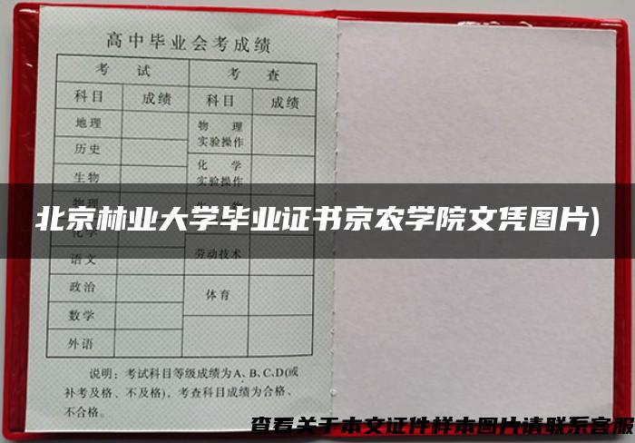 北京林业大学毕业证书京农学院文凭图片)