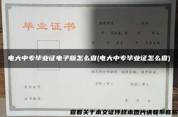 电大中专毕业证电子版怎么查(电大中专毕业证怎么查)