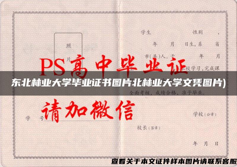 东北林业大学毕业证书图片北林业大学文凭图片)