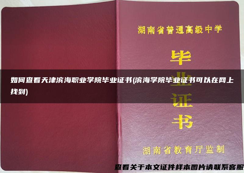 如何查看天津滨海职业学院毕业证书(滨海学院毕业证书可以在网上找到)