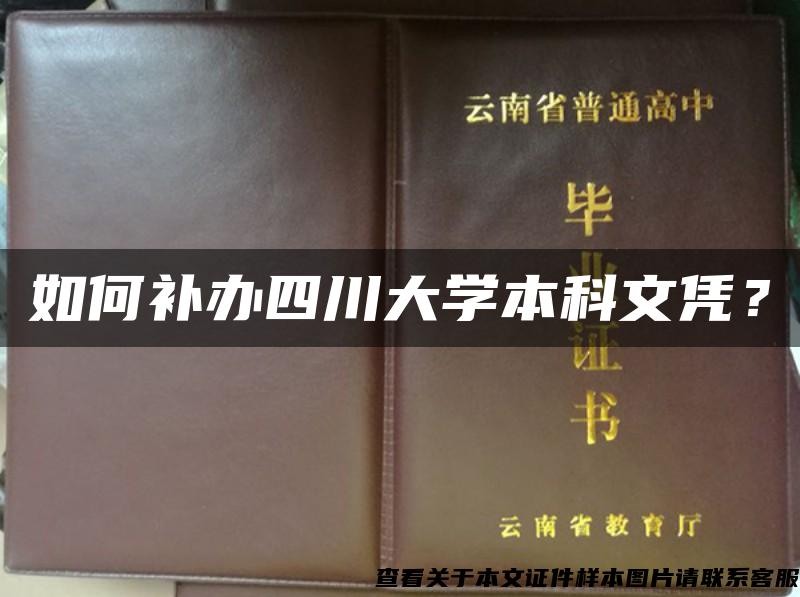 如何补办四川大学本科文凭？