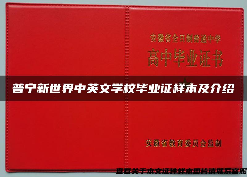 普宁新世界中英文学校毕业证样本及介绍