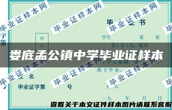 娄底孟公镇中学毕业证样本