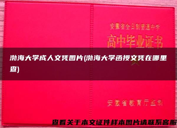 渤海大学成人文凭图片(渤海大学函授文凭在哪里查)