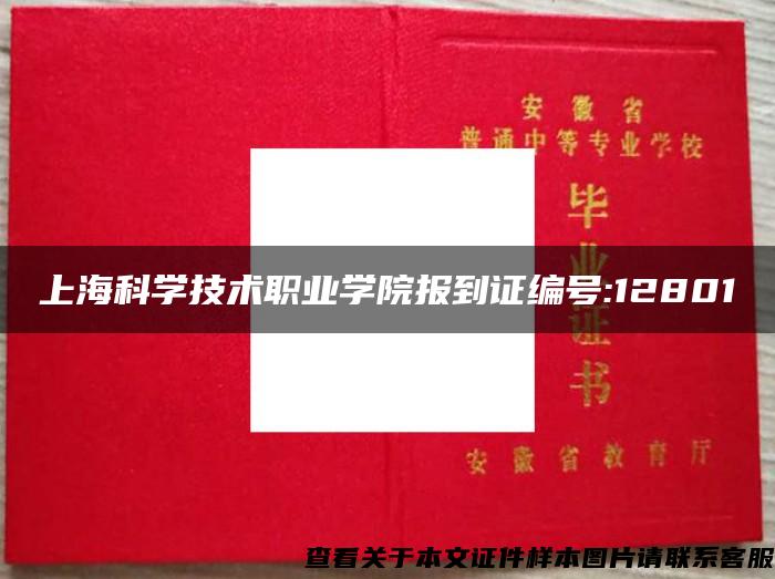 上海科学技术职业学院报到证编号:12801