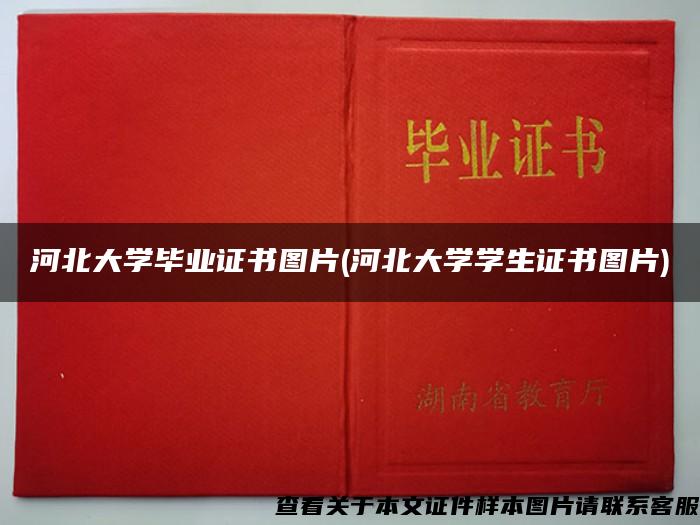 河北大学毕业证书图片(河北大学学生证书图片)