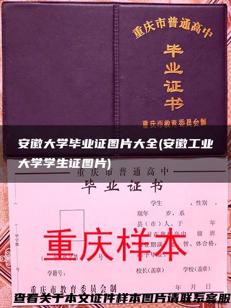 安徽大学毕业证图片大全(安徽工业大学学生证图片)