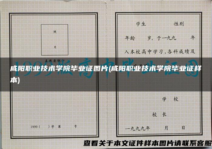 咸阳职业技术学院毕业证图片(咸阳职业技术学院毕业证样本)