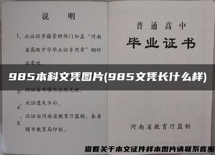 985本科文凭图片(985文凭长什么样)