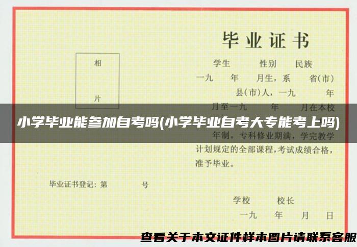 小学毕业能参加自考吗(小学毕业自考大专能考上吗)