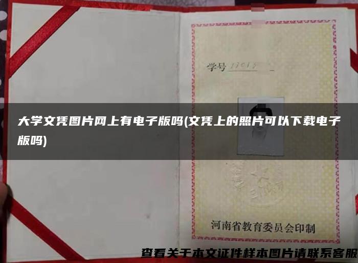 大学文凭图片网上有电子版吗(文凭上的照片可以下载电子版吗)