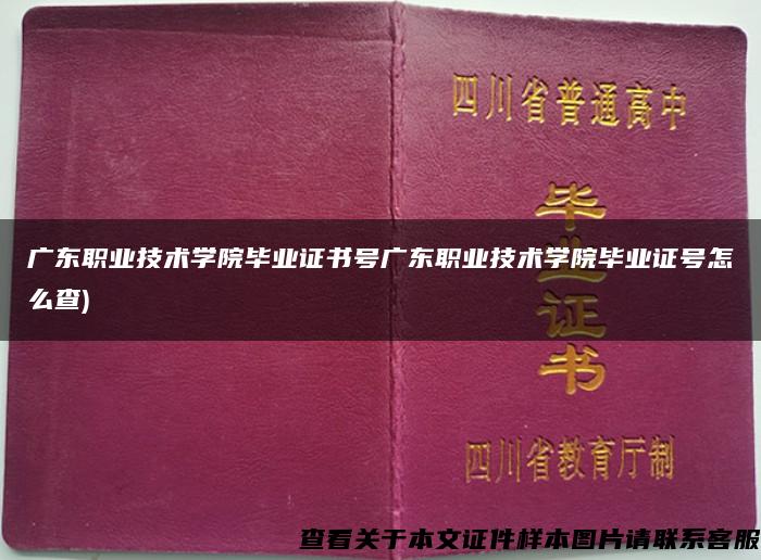 广东职业技术学院毕业证书号广东职业技术学院毕业证号怎么查)