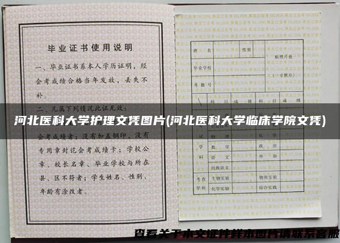 河北医科大学护理文凭图片(河北医科大学临床学院文凭)