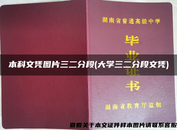 本科文凭图片三二分段(大学三二分段文凭)