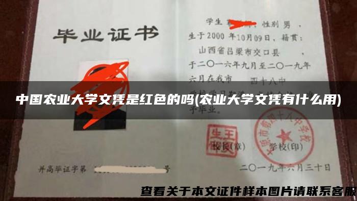 中国农业大学文凭是红色的吗(农业大学文凭有什么用)