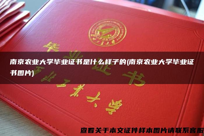 南京农业大学毕业证书是什么样子的(南京农业大学毕业证书图片)